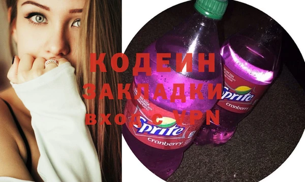 дживик Туринск
