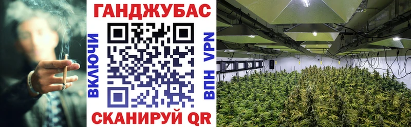 купить   ОМГ ОМГ ССЫЛКА  Шишки марихуана планчик  Шимановск 